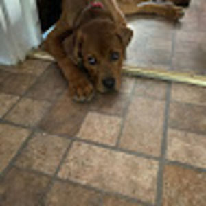 Meet your Posher, Nevaeh